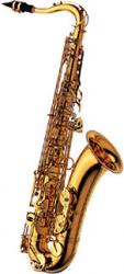 Sax tenor YANAGISAWA TW-01 L